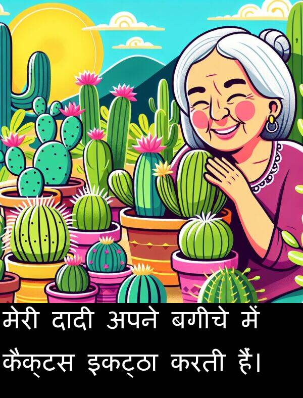बगीचे: मेरी दादी अपने बगीचे में कैक्टस इकट्ठा करती हैं।