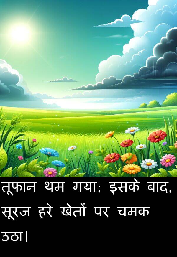 खेतों: तूफान थम गया; इसके बाद, सूरज हरे खेतों पर चमक उठा।