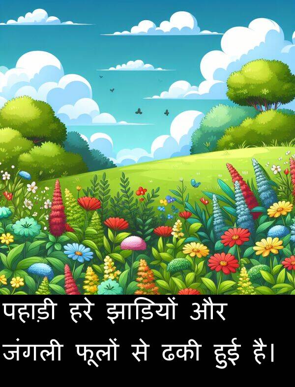फूलों: पहाड़ी हरे झाड़ियों और जंगली फूलों से ढकी हुई है।