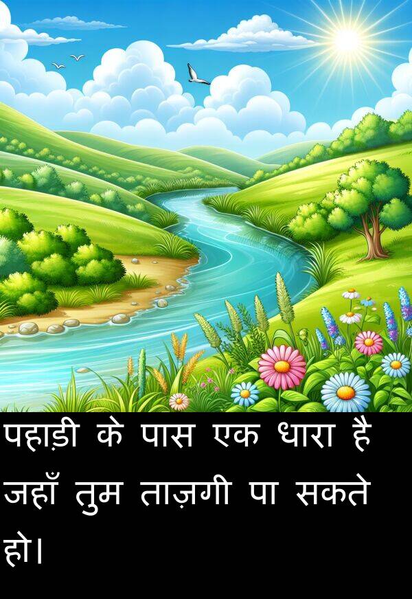 ताज़गी: पहाड़ी के पास एक धारा है जहाँ तुम ताज़गी पा सकते हो।