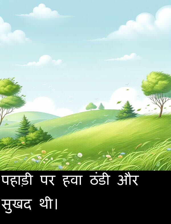 पहाड़ी: पहाड़ी पर हवा ठंडी और सुखद थी।