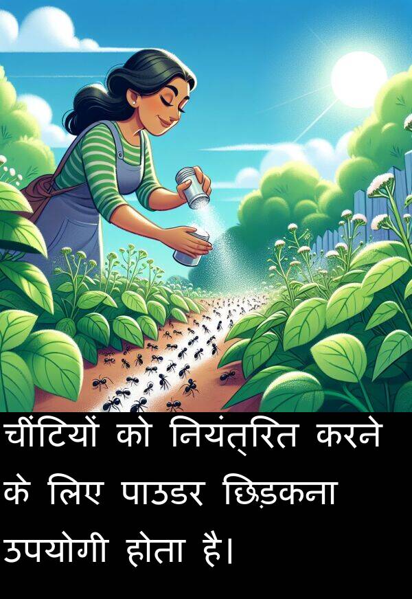 उपयोगी: चींटियों को नियंत्रित करने के लिए पाउडर छिड़कना उपयोगी होता है।