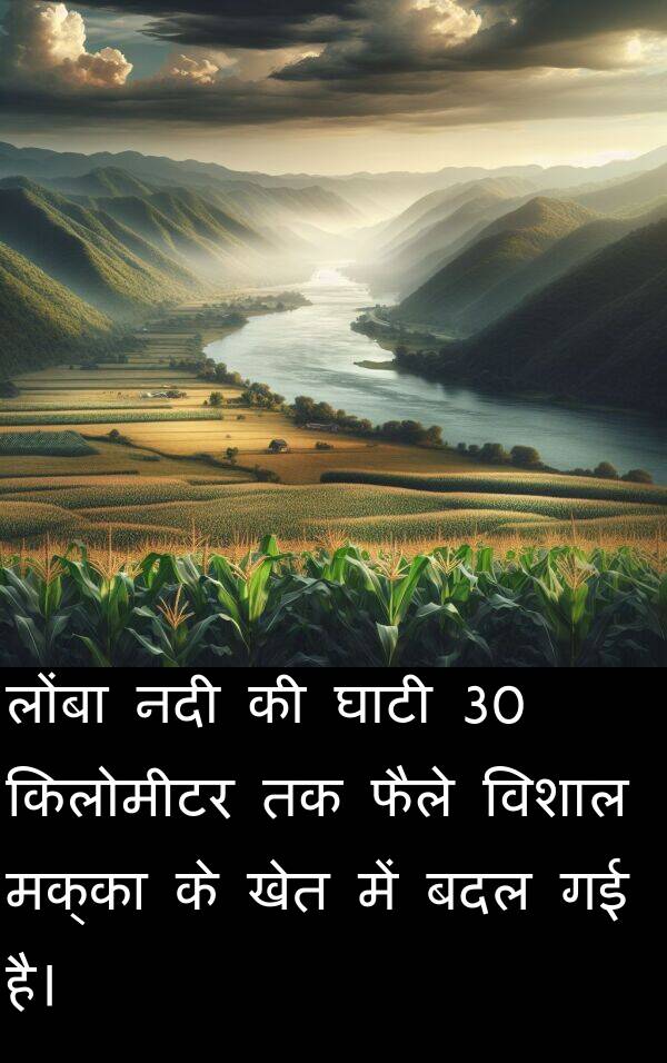लोंबा: लोंबा नदी की घाटी 30 किलोमीटर तक फैले विशाल मक्का के खेत में बदल गई है।