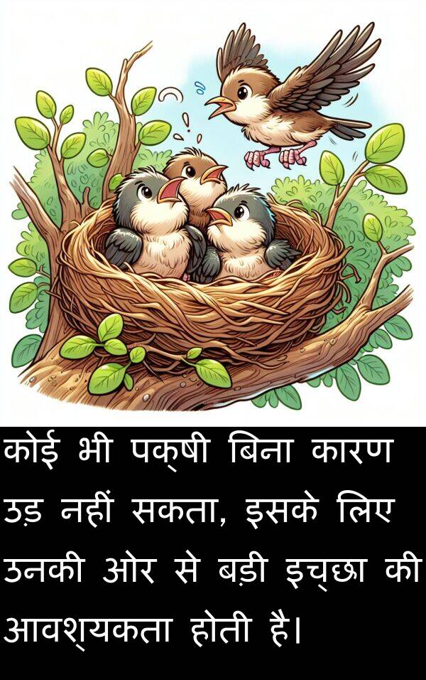 उनकी: कोई भी पक्षी बिना कारण उड़ नहीं सकता, इसके लिए उनकी ओर से बड़ी इच्छा की आवश्यकता होती है।