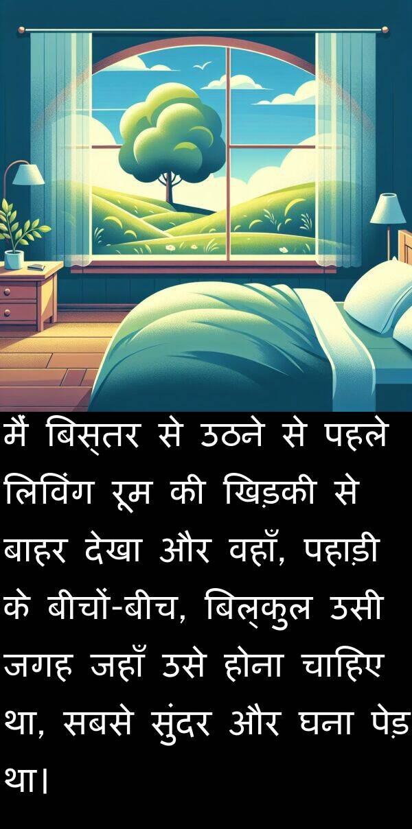 लिविंग: मैं बिस्तर से उठने से पहले लिविंग रूम की खिड़की से बाहर देखा और वहाँ, पहाड़ी के बीचों-बीच, बिल्कुल उसी जगह जहाँ उसे होना चाहिए था, सबसे सुंदर और घना पेड़ था।