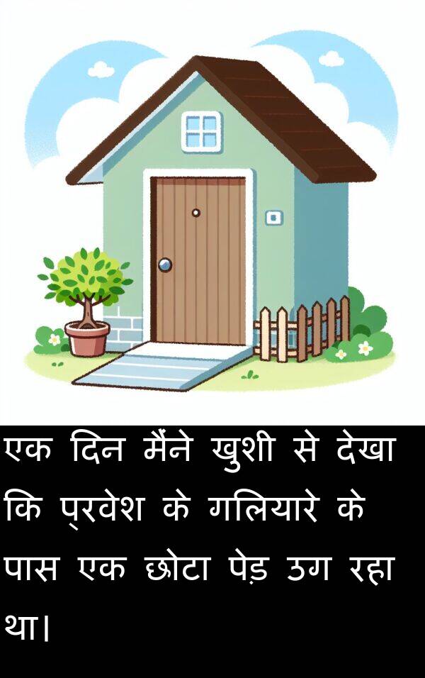 खुशी: एक दिन मैंने खुशी से देखा कि प्रवेश के गलियारे के पास एक छोटा पेड़ उग रहा था।
