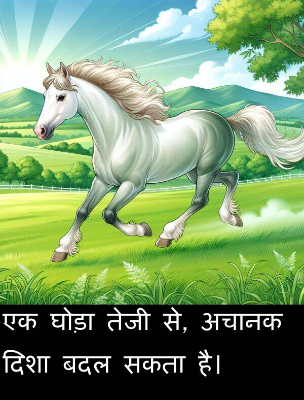 अचानक: एक घोड़ा तेजी से, अचानक दिशा बदल सकता है।