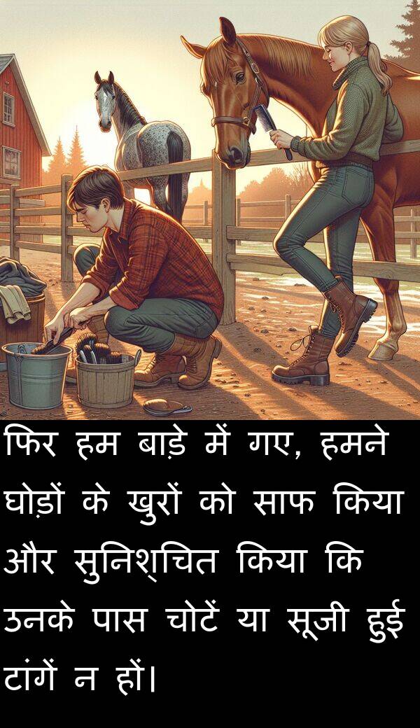 खुरों: फिर हम बाड़े में गए, हमने घोड़ों के खुरों को साफ किया और सुनिश्चित किया कि उनके पास चोटें या सूजी हुई टांगें न हों।