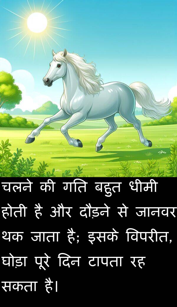 धीमी: चलने की गति बहुत धीमी होती है और दौड़ने से जानवर थक जाता है; इसके विपरीत, घोड़ा पूरे दिन टापता रह सकता है।