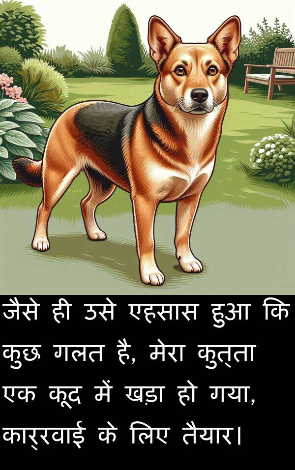 खड़ा: जैसे ही उसे एहसास हुआ कि कुछ गलत है, मेरा कुत्ता एक कूद में खड़ा हो गया, कार्रवाई के लिए तैयार।