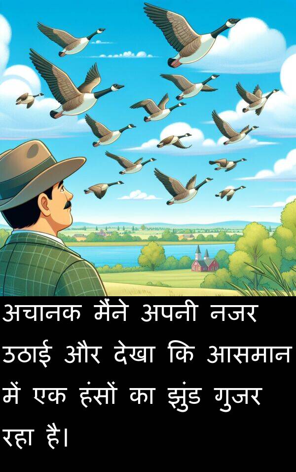 उठाई: अचानक मैंने अपनी नजर उठाई और देखा कि आसमान में एक हंसों का झुंड गुजर रहा है।