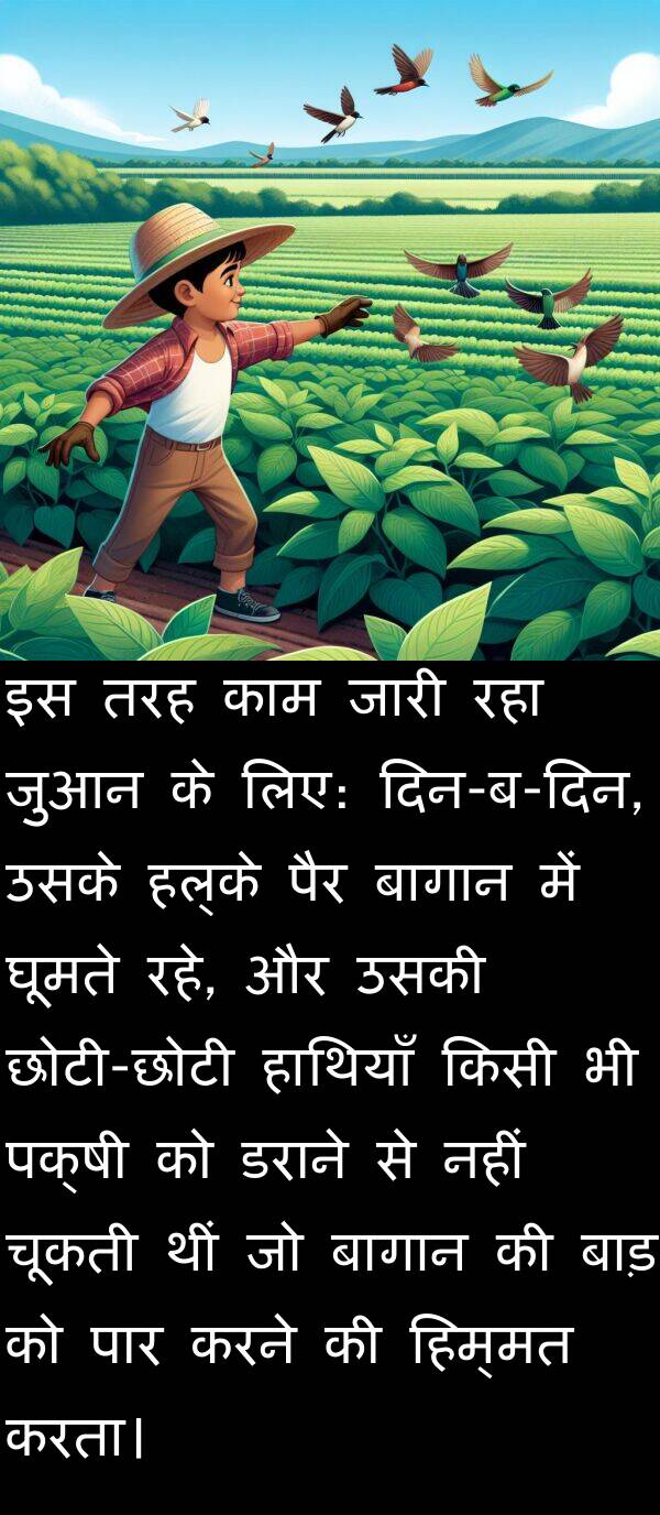 घूमते: इस तरह काम जारी रहा जुआन के लिए: दिन-ब-दिन, उसके हल्के पैर बागान में घूमते रहे, और उसकी छोटी-छोटी हाथियाँ किसी भी पक्षी को डराने से नहीं चूकती थीं जो बागान की बाड़ को पार करने की हिम्मत करता।