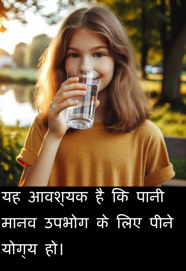 उपभोग: यह आवश्यक है कि पानी मानव उपभोग के लिए पीने योग्य हो।