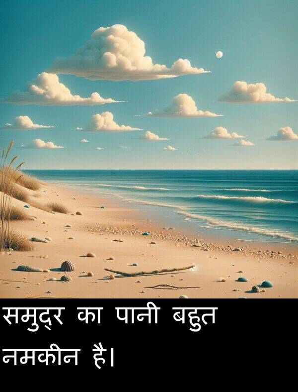 है।: समुद्र का पानी बहुत नमकीन है।