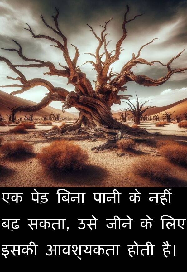 इसकी: एक पेड़ बिना पानी के नहीं बढ़ सकता, उसे जीने के लिए इसकी आवश्यकता होती है।