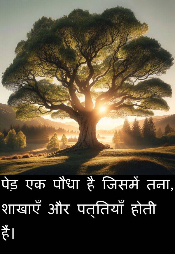 पत्तियाँ: पेड़ एक पौधा है जिसमें तना, शाखाएँ और पत्तियाँ होती हैं।