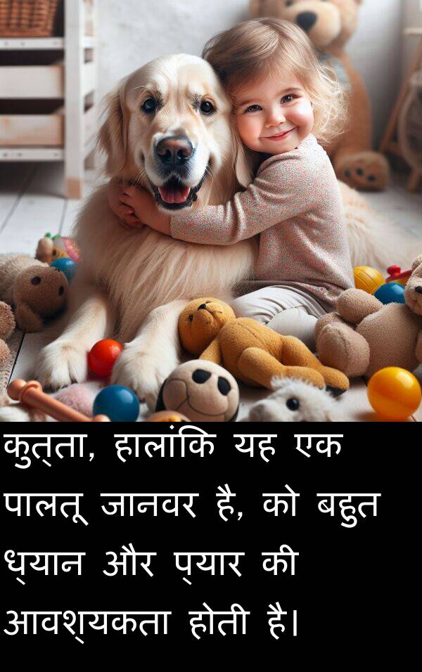ध्यान: कुत्ता, हालांकि यह एक पालतू जानवर है, को बहुत ध्यान और प्यार की आवश्यकता होती है।
