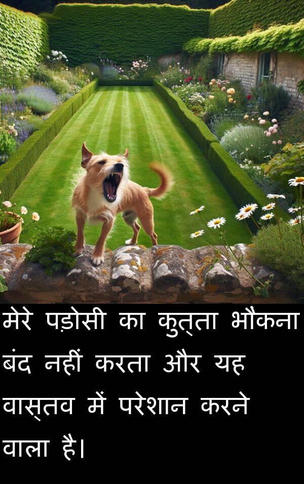 परेशान: मेरे पड़ोसी का कुत्ता भौंकना बंद नहीं करता और यह वास्तव में परेशान करने वाला है।