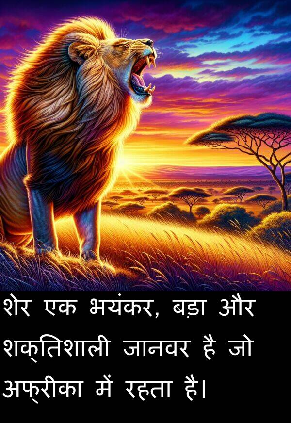 अफ्रीका: शेर एक भयंकर, बड़ा और शक्तिशाली जानवर है जो अफ्रीका में रहता है।