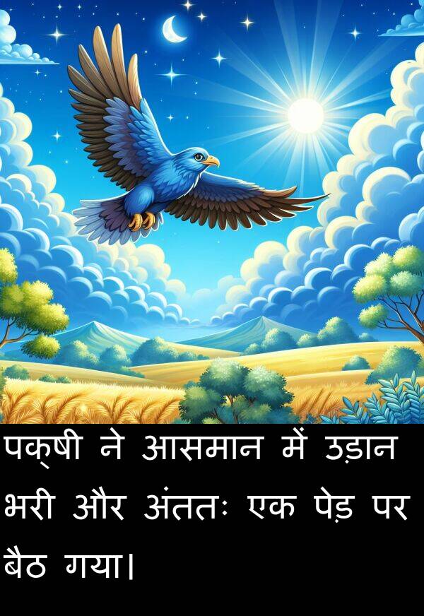 उड़ान: पक्षी ने आसमान में उड़ान भरी और अंततः एक पेड़ पर बैठ गया।