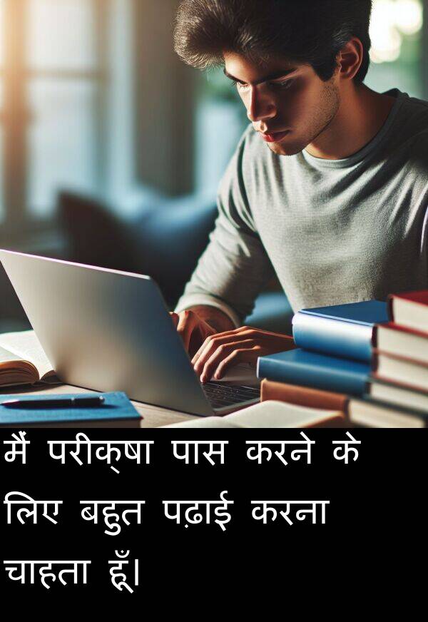 परीक्षा: मैं परीक्षा पास करने के लिए बहुत पढ़ाई करना चाहता हूँ।