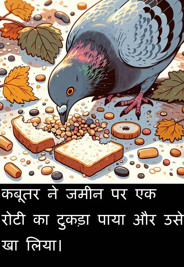 लिया।: कबूतर ने जमीन पर एक रोटी का टुकड़ा पाया और उसे खा लिया।