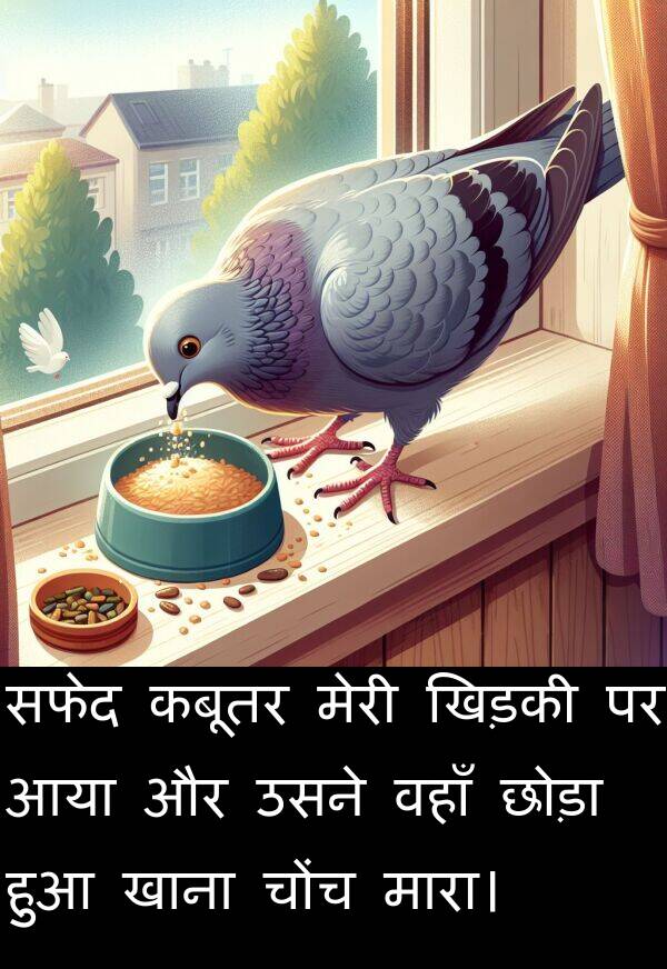 छोड़ा: सफेद कबूतर मेरी खिड़की पर आया और उसने वहाँ छोड़ा हुआ खाना चोंच मारा।