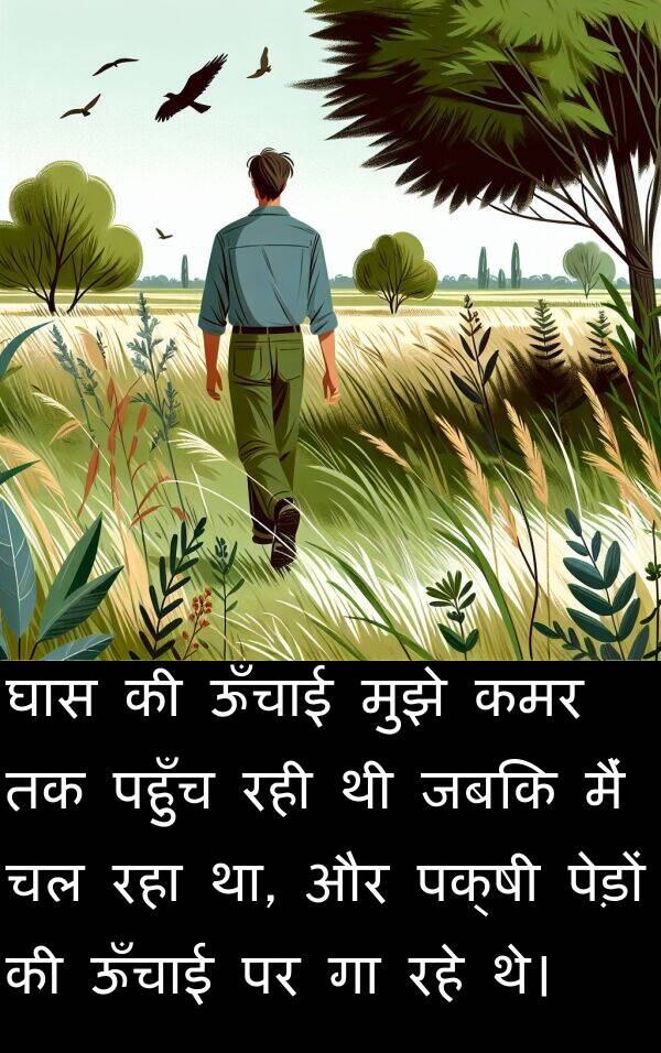 पहुँच: घास की ऊँचाई मुझे कमर तक पहुँच रही थी जबकि मैं चल रहा था, और पक्षी पेड़ों की ऊँचाई पर गा रहे थे।