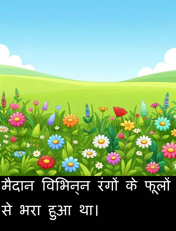 फूलों: मैदान विभिन्न रंगों के फूलों से भरा हुआ था।