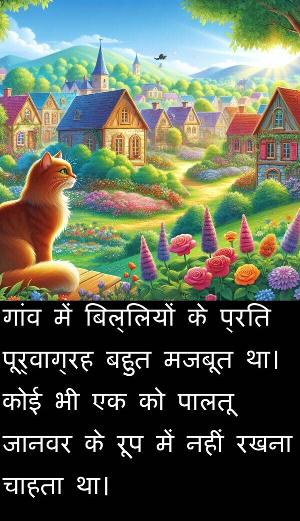 गांव: गांव में बिल्लियों के प्रति पूर्वाग्रह बहुत मजबूत था। कोई भी एक को पालतू जानवर के रूप में नहीं रखना चाहता था।
