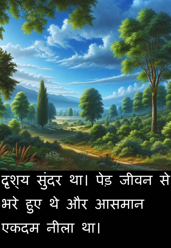 आसमान: दृश्य सुंदर था। पेड़ जीवन से भरे हुए थे और आसमान एकदम नीला था।