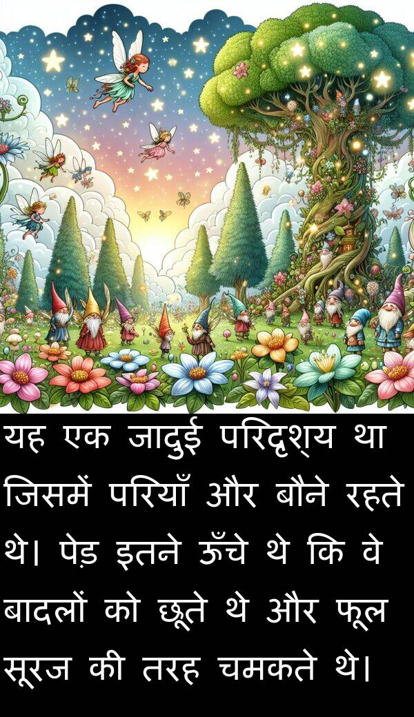 फूल: यह एक जादुई परिदृश्य था जिसमें परियाँ और बौने रहते थे। पेड़ इतने ऊँचे थे कि वे बादलों को छूते थे और फूल सूरज की तरह चमकते थे।
