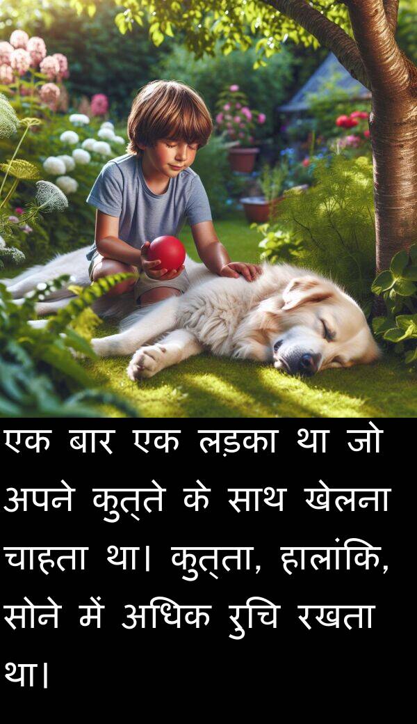 लड़का: एक बार एक लड़का था जो अपने कुत्ते के साथ खेलना चाहता था। कुत्ता, हालांकि, सोने में अधिक रुचि रखता था।