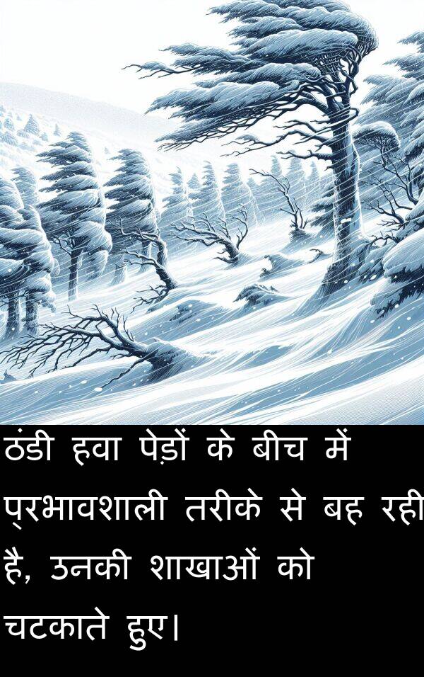 उनकी: ठंडी हवा पेड़ों के बीच में प्रभावशाली तरीके से बह रही है, उनकी शाखाओं को चटकाते हुए।