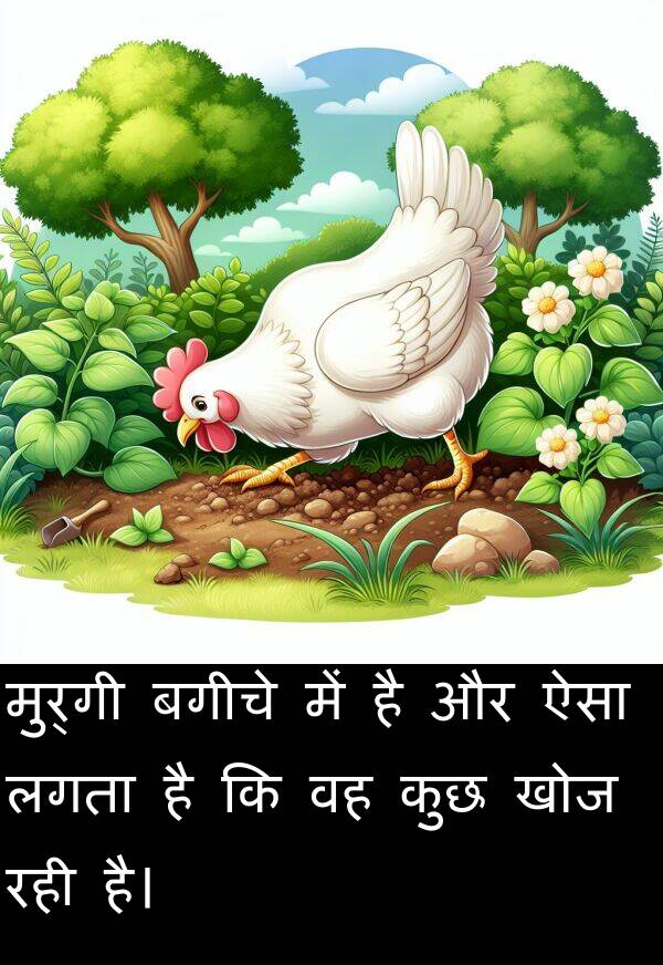 खोज: मुर्गी बगीचे में है और ऐसा लगता है कि वह कुछ खोज रही है।