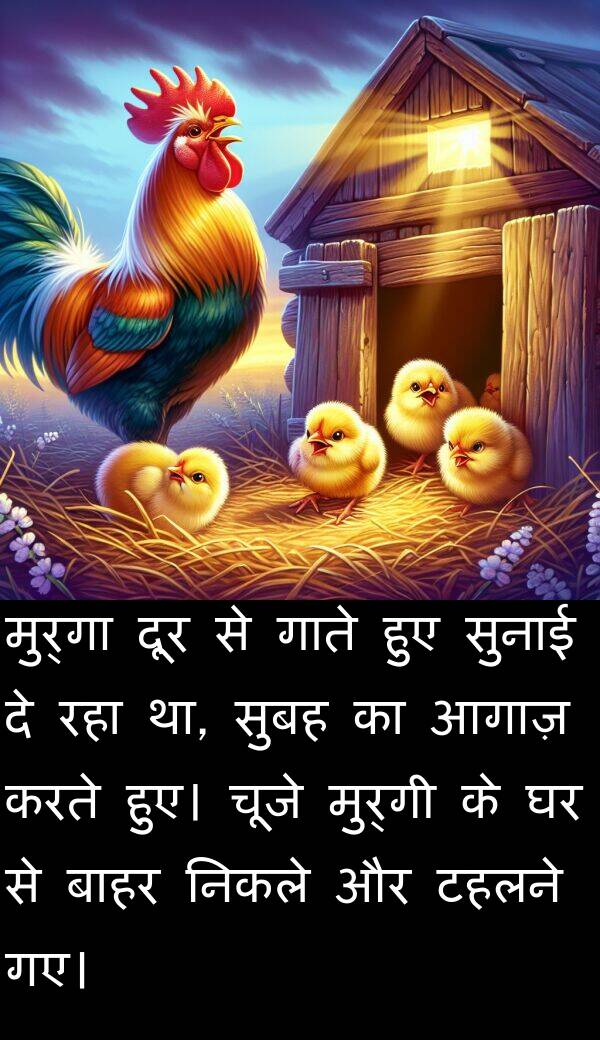 बाहर: मुर्गा दूर से गाते हुए सुनाई दे रहा था, सुबह का आगाज़ करते हुए। चूजे मुर्गी के घर से बाहर निकले और टहलने गए।