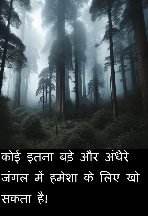 इतना: कोई इतना बड़े और अंधेरे जंगल में हमेशा के लिए खो सकता है!