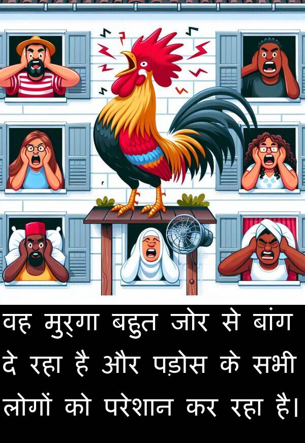 परेशान: वह मुर्गा बहुत जोर से बांग दे रहा है और पड़ोस के सभी लोगों को परेशान कर रहा है।
