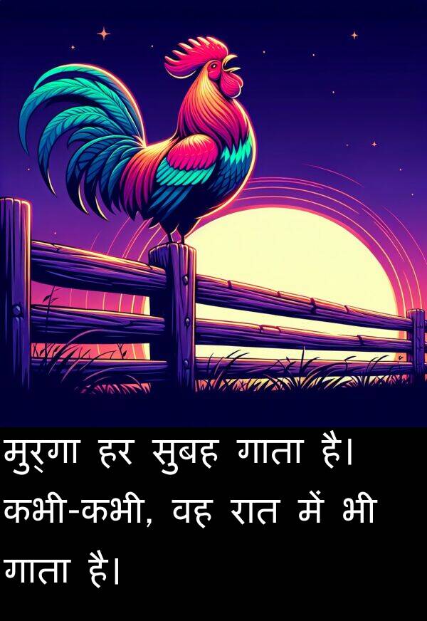 गाता: मुर्गा हर सुबह गाता है। कभी-कभी, वह रात में भी गाता है।