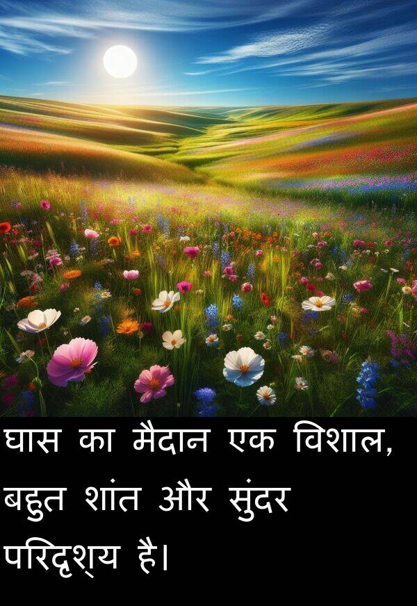 परिदृश्य: घास का मैदान एक विशाल, बहुत शांत और सुंदर परिदृश्य है।