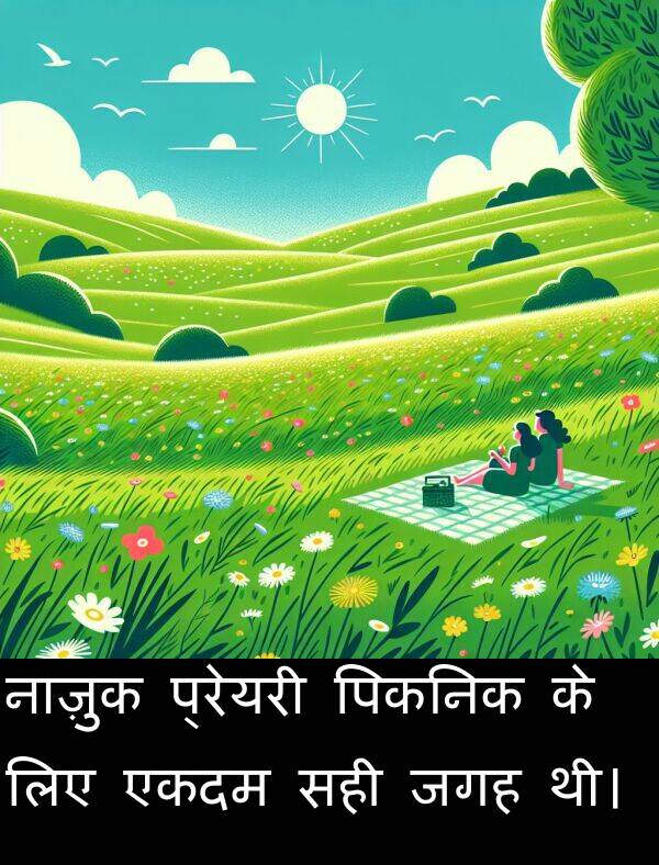 नाज़ुक: नाज़ुक प्रेयरी पिकनिक के लिए एकदम सही जगह थी।