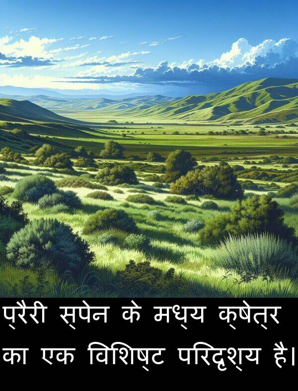 विशिष्ट: प्रैरी स्पेन के मध्य क्षेत्र का एक विशिष्ट परिदृश्य है।