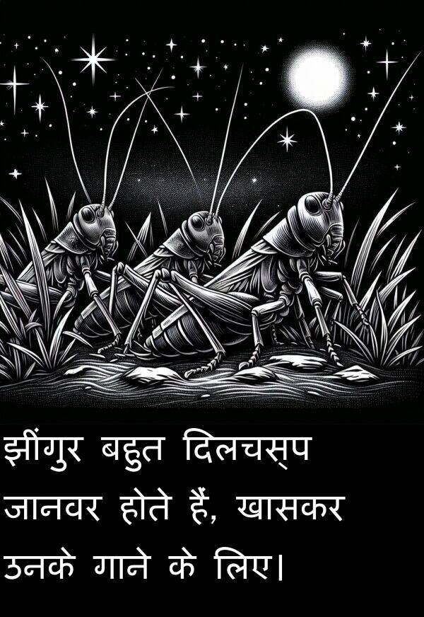 लिए।: झींगुर बहुत दिलचस्प जानवर होते हैं, खासकर उनके गाने के लिए।