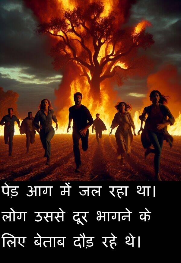 लोग: पेड़ आग में जल रहा था। लोग उससे दूर भागने के लिए बेताब दौड़ रहे थे।