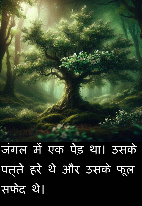 फूल: जंगल में एक पेड़ था। उसके पत्ते हरे थे और उसके फूल सफेद थे।