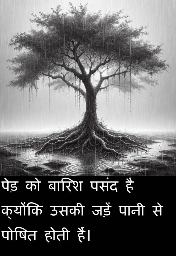 बारिश: पेड़ को बारिश पसंद है क्योंकि उसकी जड़ें पानी से पोषित होती हैं।