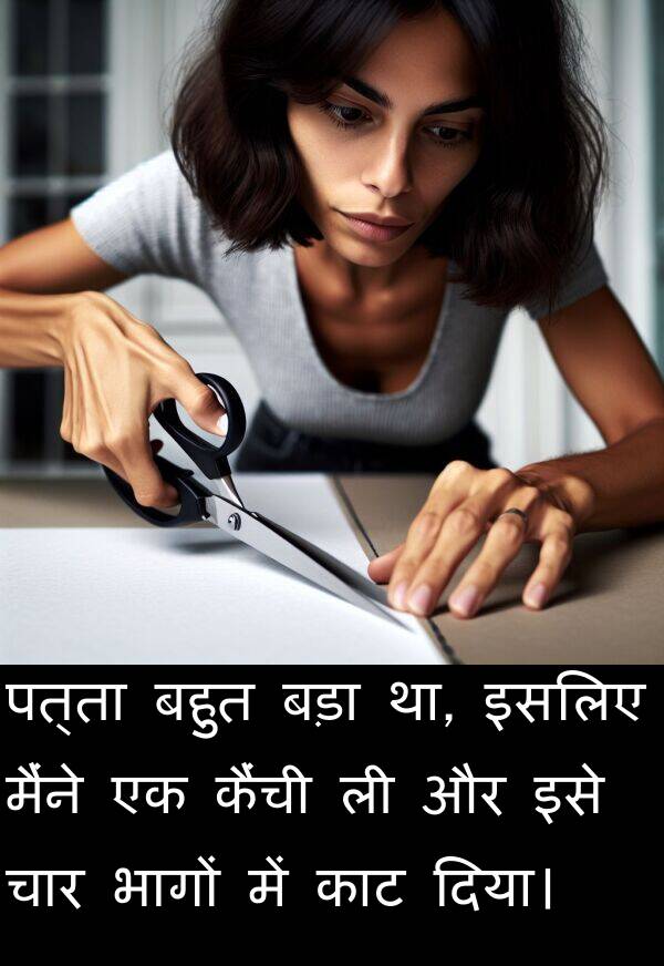 पत्ता: पत्ता बहुत बड़ा था, इसलिए मैंने एक कैंची ली और इसे चार भागों में काट दिया।