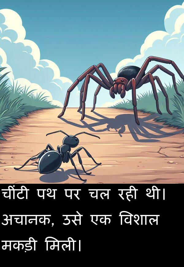 उसे: चींटी पथ पर चल रही थी। अचानक, उसे एक विशाल मकड़ी मिली।