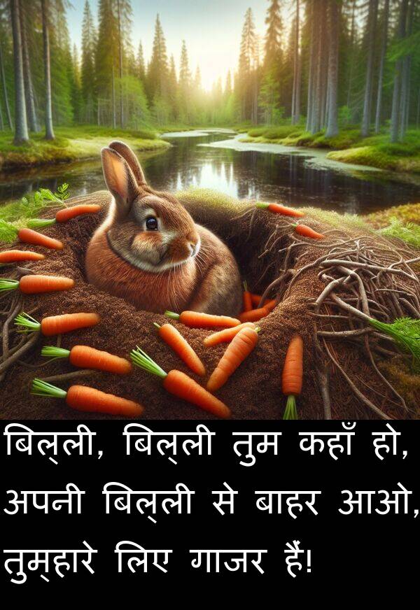 बाहर: बिल्ली, बिल्ली तुम कहाँ हो, अपनी बिल्ली से बाहर आओ, तुम्हारे लिए गाजर हैं!