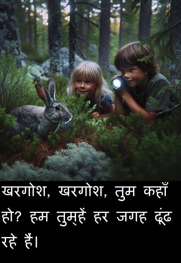 ढूंढ: खरगोश, खरगोश, तुम कहाँ हो? हम तुम्हें हर जगह ढूंढ रहे हैं।